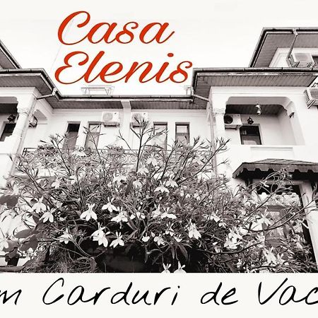 ホテル Casa Elenis エフォリエ・スド エクステリア 写真